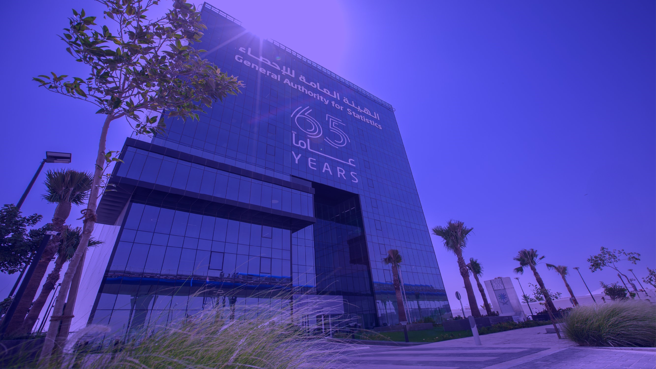 مسح صحة المراة والطفل ( ميداني ) 2026م  T24