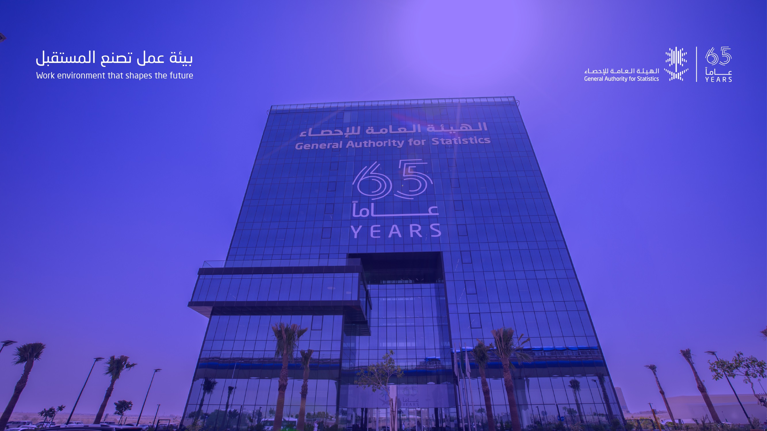 مسح إحصاءات الاعمال الهيكلية T28